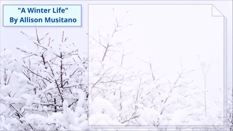 Thumbnail for entry A Winter Life URC- Musitano, Allison