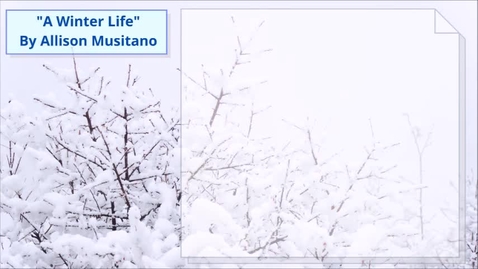 Thumbnail for A Winter Life URC- Musitano, Allison