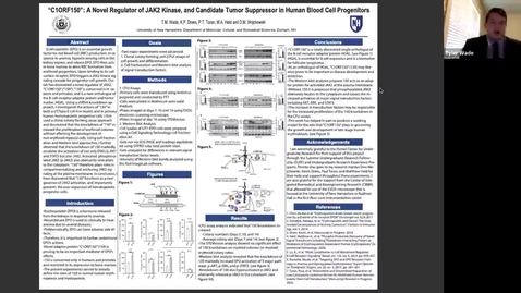 Thumbnail for entry &quot;C1ORF150&quot;: A Novel Regulator of JAK2 Kinase, and Candidate Tumor Suppressor in Human Blood Cell Progenitors, Poster #4