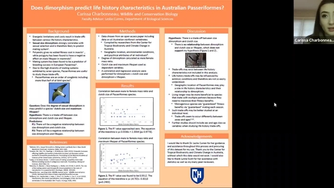 Thumbnail for Does dimorphism predict life history characteristics in Australian Passeriformes?