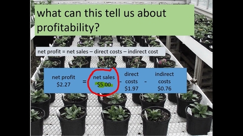 Thumbnail for Greenhouse &amp; Nursery Crop Costing &amp; Pricing