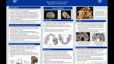 Thumbnail for entry Constructing an Osteobiography: A Biological Profile and Historical Custody Investigation