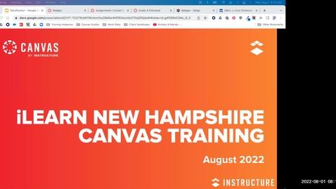 Thumbnail for 2. Gamification in Canvas (Ambassadors)