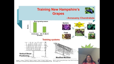 Thumbnail for 3MT_2020_Chandra