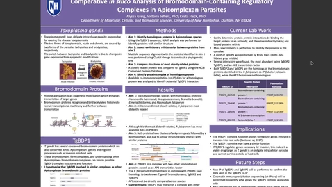 Thumbnail for entry Comparative in silico Analysis of Bromodomain-Containing Regulatory Complexes in Apicomplexan Parasites