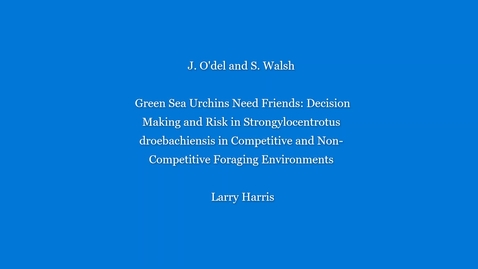 Thumbnail for UNH URC 2020 - Green sea urchins need friends: Decision making and risk in Strongylocentrotus droebachiensis in competitive and non-competitive foraging environments