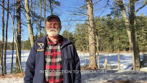 Thumbnail for Introduction to Silviculture