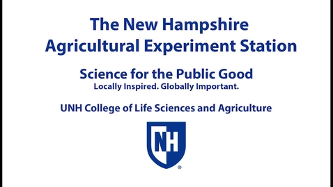 Thumbnail for Part One: Station Scientists Present New Research on Utilizing Forage Legumes for Grazing and Feed