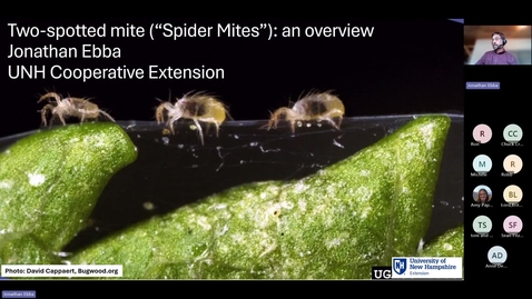 Thumbnail for UNH Extension Webinar Two-spotted mite (spider mites) an overview-20260428_220108UTC-Meeting Recording