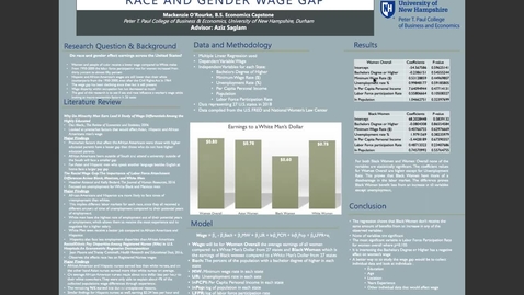 Thumbnail for entry ECON-BS.Race-and-Gender_Wage-Gap