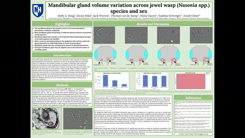 Thumbnail for entry Mandibular gland volume variation across jewel wasp (Nasonia spp.) species and sex, Holly Hoag Poster 44