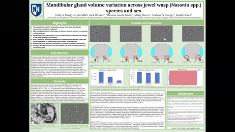 Thumbnail for Mandibular gland volume variation across jewel wasp (Nasonia spp.) species and sex, Holly Hoag Poster 44