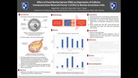 Thumbnail for entry Effect of Fetal Bovine Serum (FBS) on Expression of Cellular Communication Network Factor 1 (CCN1) in Bovine Granulosa Cells