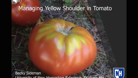 Thumbnail for entry Managing Yellow Shoulder in Tomato