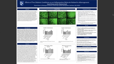 Thumbnail for Effects of Two Diabetic Conditions on an Inflammation Molecule Related to Atherogenesis