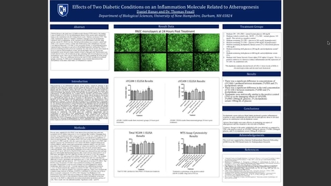 Thumbnail for entry Effects of Two Diabetic Conditions on an Inflammation Molecule Related to Atherogenesis