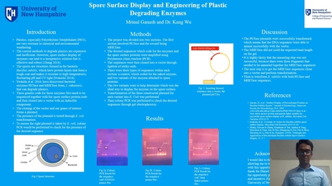 Thumbnail for entry Spore Surface Display and Engineering of Plastic Degrading Enzymes