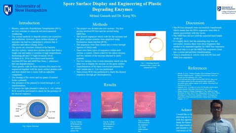 Thumbnail for Spore Surface Display and Engineering of Plastic Degrading Enzymes