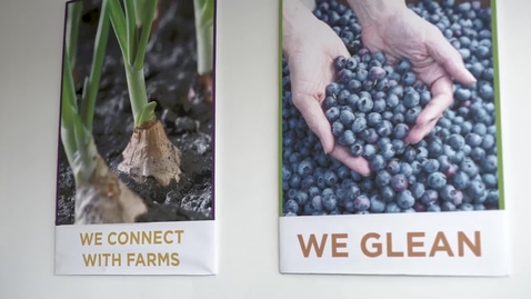 Thumbnail for THRIVE Fall 2021: A Partnership to Address Hunger and Food Waste