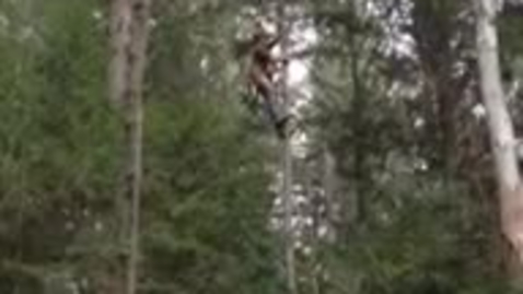 Thumbnail for Arboriculture_ FORT 464.mp4