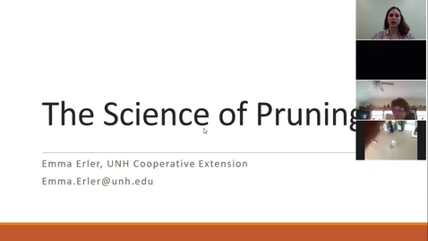 Thumbnail for The Science of Pruning