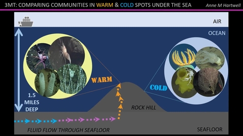 Thumbnail for Anne_Hartwell_3MT2020