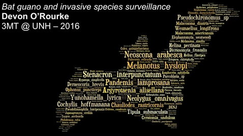 Thumbnail for 3MT 2016 - Devon O'Rourke, Molecular Biology