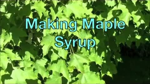 Thumbnail for entry Making Maple Syrup with Matt Chagnon_ Associate Forestry Professor_ UNH Thompson