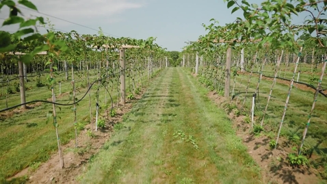 Thumbnail for THRIVE Fall 2021: Sustainable Agriculture at UNH