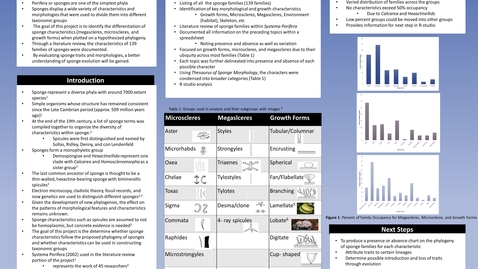 Thumbnail for Linking Sponge Morphological Characteristics with Phylogeny