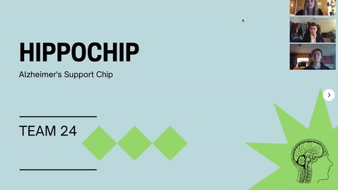 Thumbnail for 24 Karat (Team 24): Hippochip