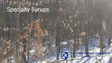 Thumbnail for High-Value Niche Syrup Production  Research