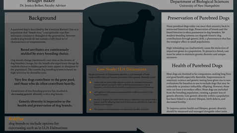 Thumbnail for entry Current Dog Breeding Practices Impacts on Health and Preservation of Purebred Dogs