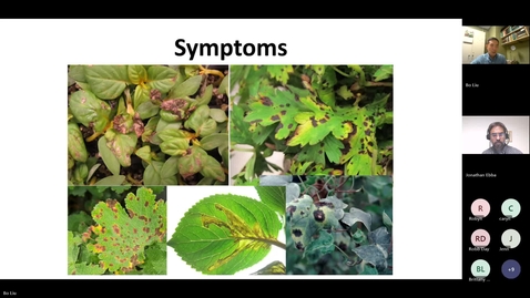 Thumbnail for Bacterial leaf spots diagnosis and management