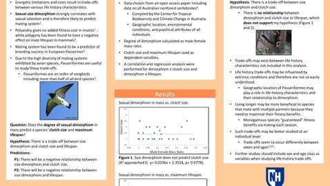 Thumbnail for #82, Does Dimorphism Predict Life History Characteristics in Australian Passeriformes