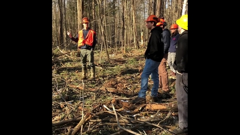 Thumbnail for A forester discusses how past land use affects today's forest