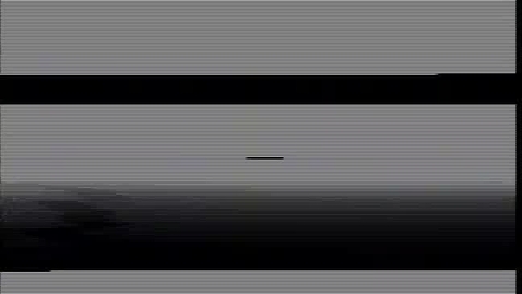 Thumbnail for The Lavender Tortoise