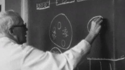 Thumbnail for New York State College of Agriculture and Life Sciences Faculty