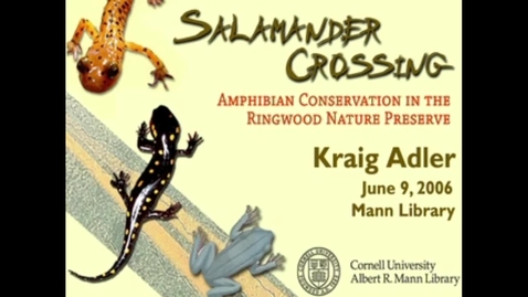 Thumbnail for Salamander Crossing: Amphibian Conservation and Cornell’s Ringwood Nature Preserve