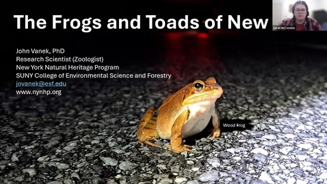 Thumbnail for YNOE Amphibian Virtual Series #2