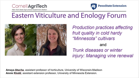 Thumbnail for 2.17.21 Eastern Viticulture and Enology Forum - Production Practices Affecting Fruit Quality in Cold Hardy Minnesota Cultivars