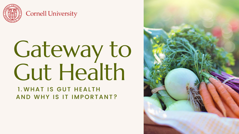 Thumbnail for entry Gateway to Gut Health #1: What is gut health and why is it important?