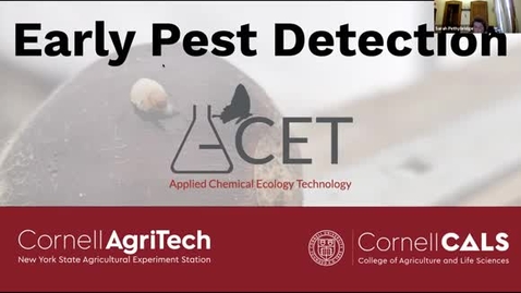 Thumbnail for CIDA Spring 2021 Seminar - Denis Willett: Early Pest Detection with the Applied Chemical Ecology Technology Program 