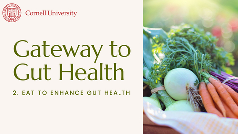Thumbnail for Gateway to Gut Health #2: Eat to enhance gut health