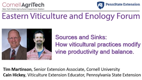 Thumbnail for 11.18.20 Eastern Viticulture and Enology Forum - Sources and Sinks: How Viticultural Practices Modify Carbon Assimilation and Allocation