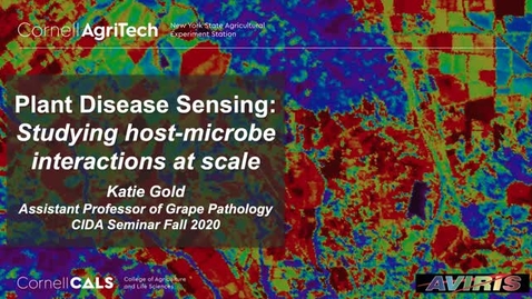 Thumbnail for CIDA Fall 2020 seminar - Katie Gold: Plant disease sensing: studying host-microbe interactions at scale
