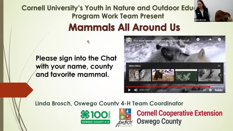 Thumbnail for Mammals All Around Us: Session #1