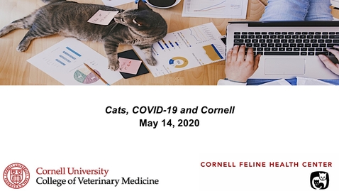Thumbnail for Cats, COVID-19, and Cornell