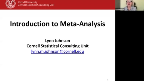 Thumbnail for 11_Seminar: Introduction to Meta-Analysis