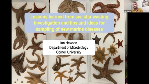Thumbnail for entry Lessons and Tips from Sea Star Wasting Disease Microbiology Investigation